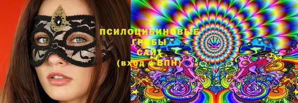 ALPHA PVP Богородицк