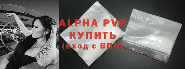 спиды Богданович