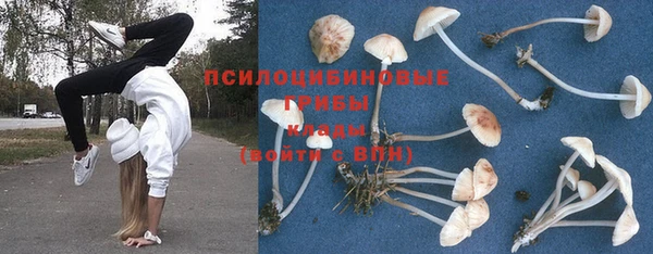 спиды Богданович