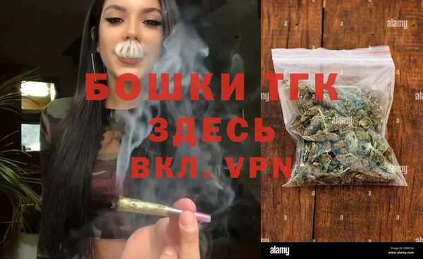 спиды Богданович
