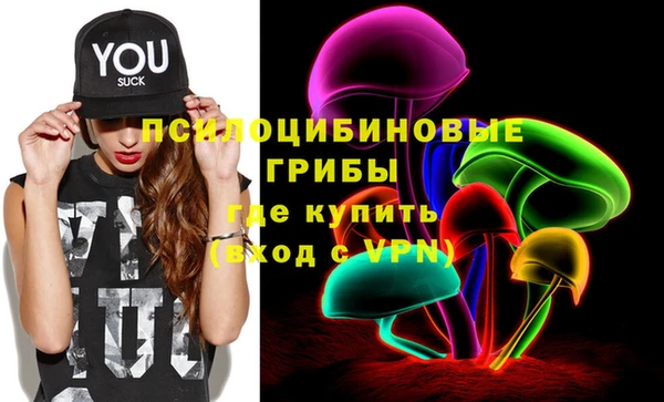 спиды Богданович