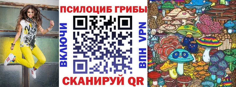 hydra ТОР  Гороховец  Галлюциногенные грибы мицелий  где купить наркотик 